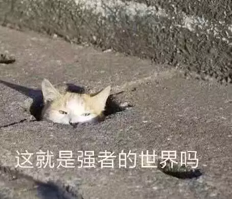 好久不见